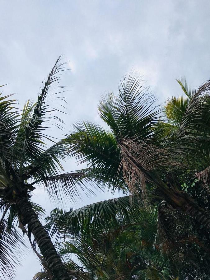 Chacara Recanto Paraiso Jarinu Exteriör bild