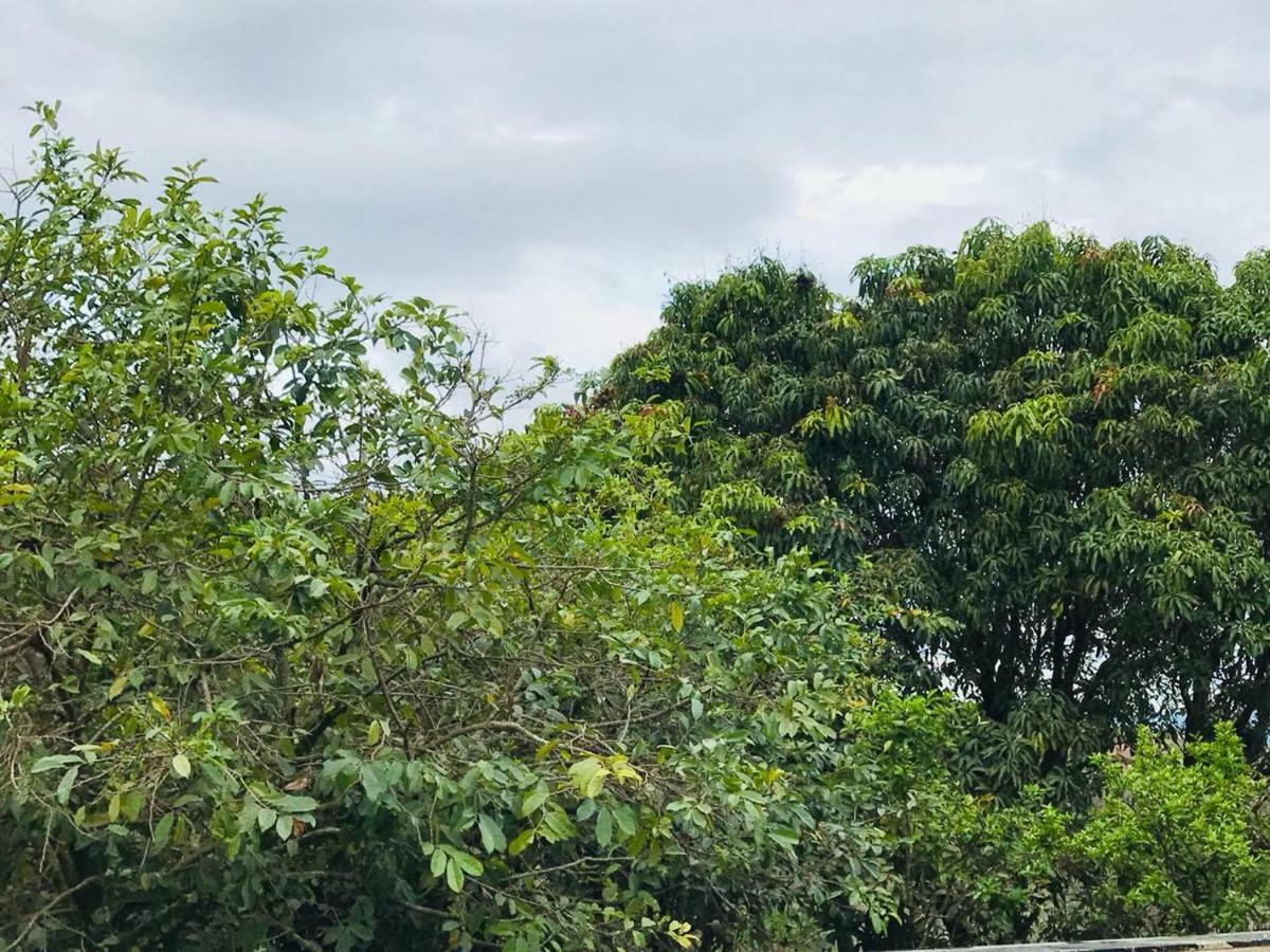 Chacara Recanto Paraiso Jarinu Exteriör bild