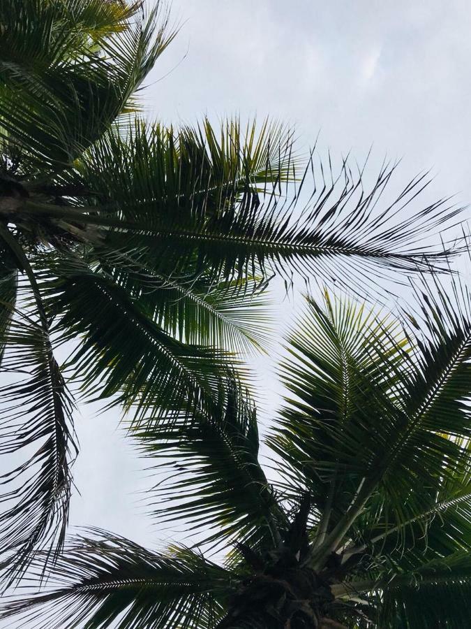 Chacara Recanto Paraiso Jarinu Exteriör bild